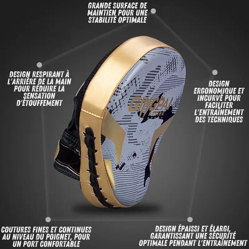 Caractéristiques principales de la patte d'ours de boxe Gingpai